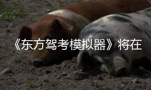 将拟器日登平台陆S东在12月考模方驾