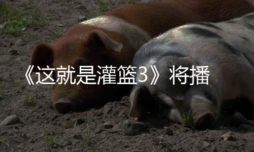 就是将播 金徐艺辣开这子涵灌篮场洋热
