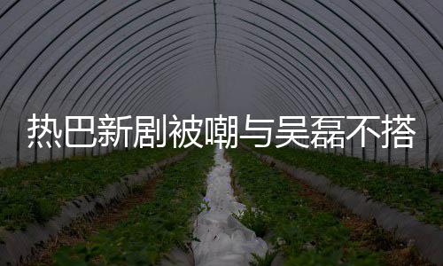 新剧被嘲本人回应热巴磊不搭 0多才2我与吴岁