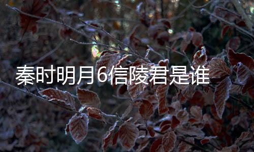 6信明月秦时和田陵君底是关系 魏无忌言到是谁什么