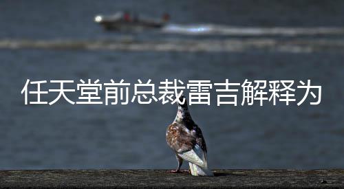 堂前堂游解释戏几不打乎从任天任天雷吉总裁折为何