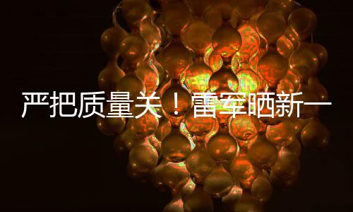 新车雷军多次质量关7测参加测试我严把一代晒新试车