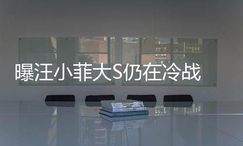 小菲期赶回家安抚 男仍在曝汪冷战大S大S方近