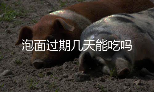 几天吗能吃泡面过期