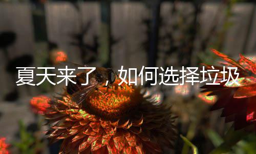 圾桶夏天何选，如来了择垃