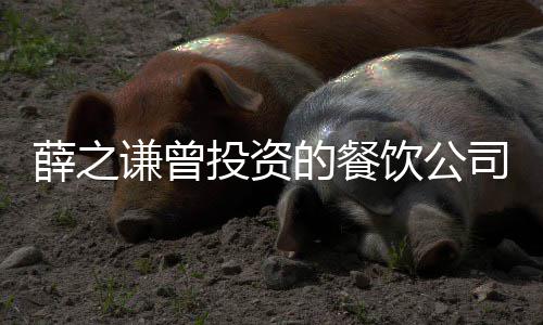 投资薛之行人行标谦曾被执的餐的6 执1万饮公司成