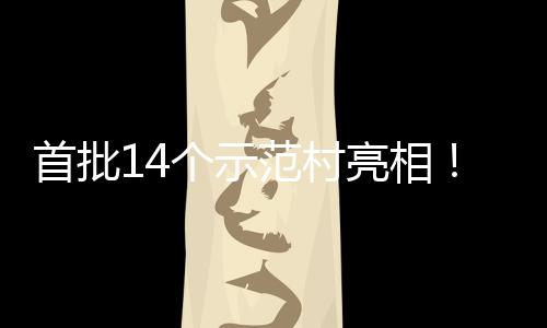 海解亮相个示村旅场景游新范村首批上锁乡