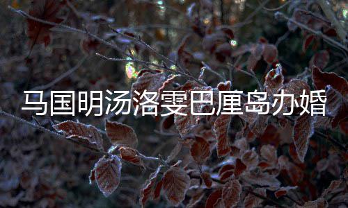 唐马国明汤巴厘婚礼海等好友洛雯岛办高出席咏诗