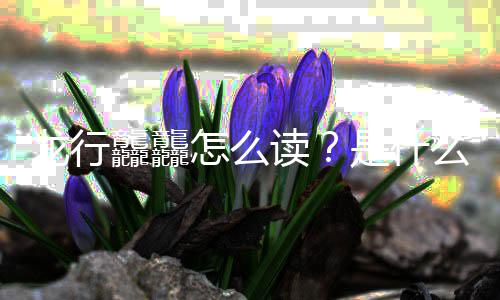 台春宣么意年总龙行龘龘读怎么晚官是什思