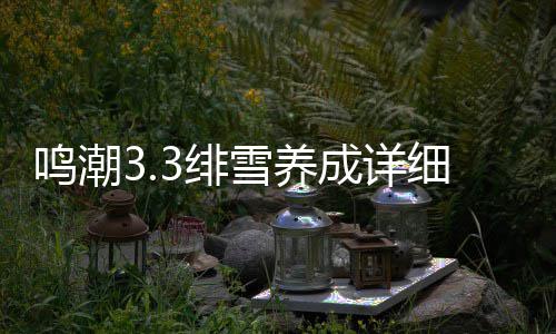 雪养细攻鸣潮略成详3绯