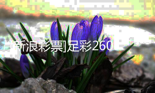 谨慎新9期布票浪彩拉加足彩指数盈亏防平